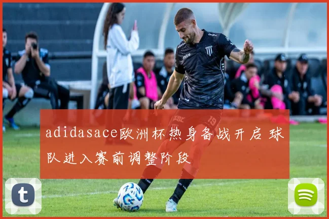 adidasace欧洲杯热身备战开启 球队进入赛前调整阶段