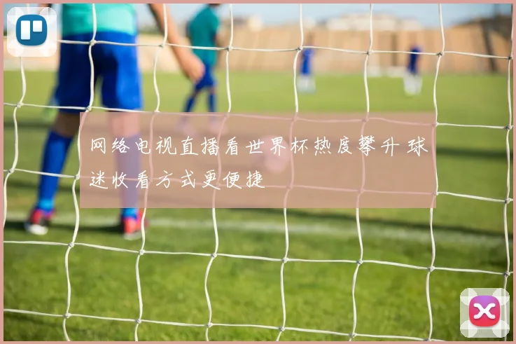 网络电视直播看世界杯热度攀升 球迷收看方式更便捷