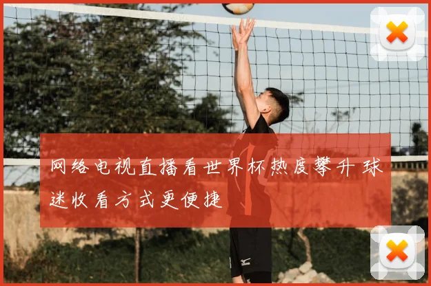网络电视直播看世界杯热度攀升 球迷收看方式更便捷